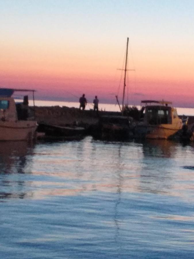 Apartment Yelena Rose West Zadar Luaran gambar