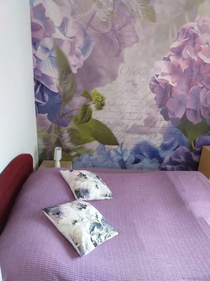 Apartment Yelena Rose West Zadar Luaran gambar